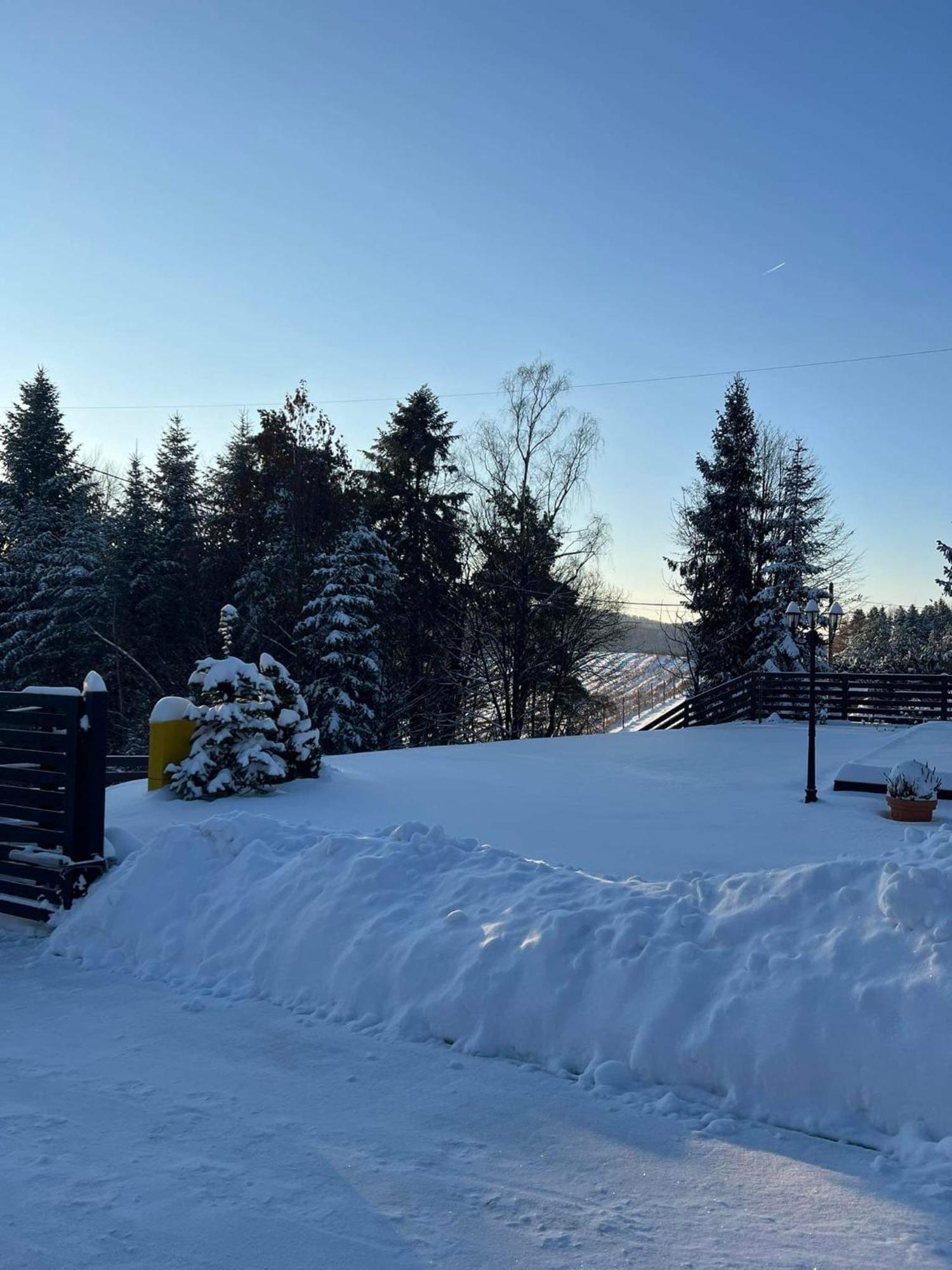 Appartamento Dom Na Borowkowym Wzgorzu Palesnica Esterno foto