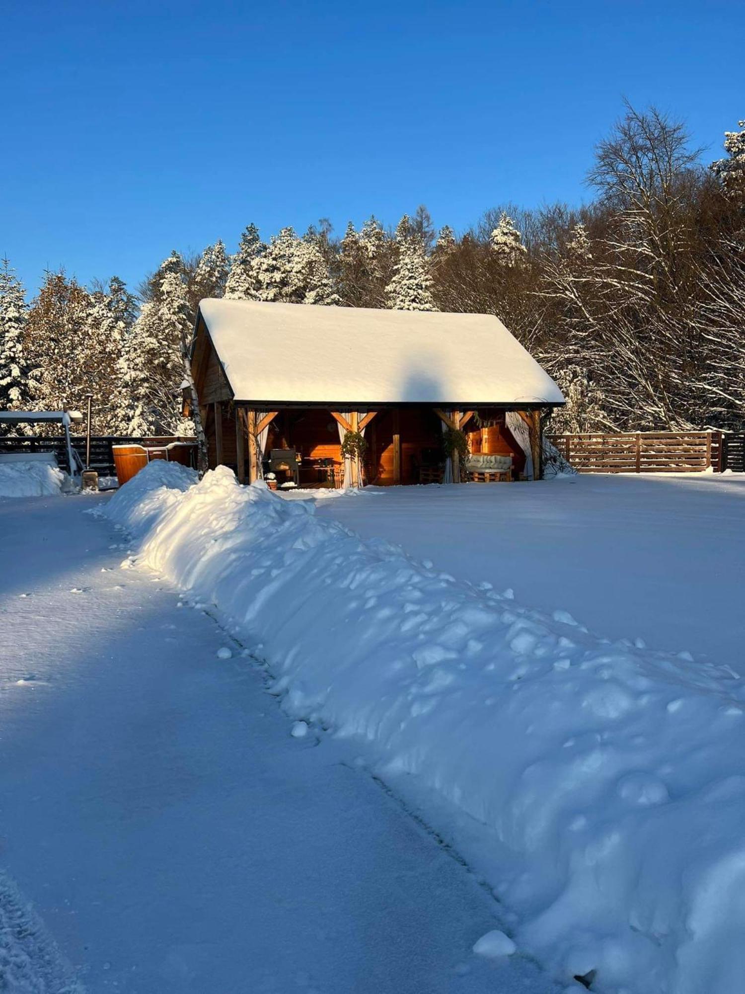Appartamento Dom Na Borowkowym Wzgorzu Palesnica Esterno foto